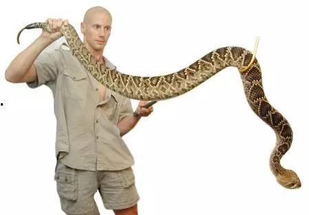 哈尔滨爆料被蛇咬事件视频,街头惊魂，市民紧急求救